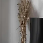 Appartement Munn 4 Szczecin