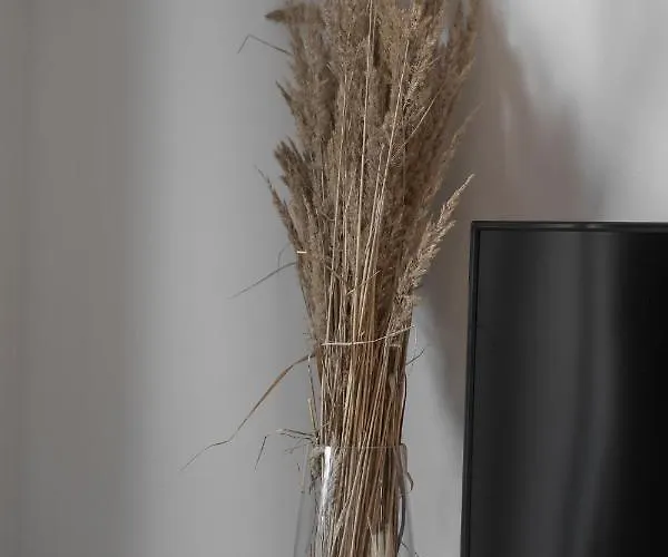 Lägenhet Munn 4 Szczecin